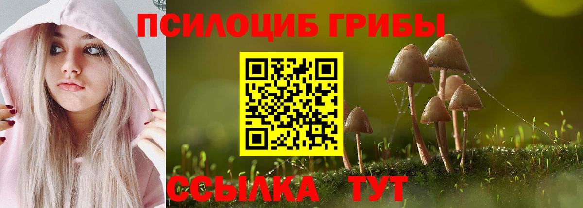 Галлюциногенные грибы Magic Shrooms  Вход с VPN  Нальчик  Галлюциногенные грибы GOLDEN TEACHER 